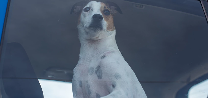 Car Lockout Solutions in Redondo Beach, California